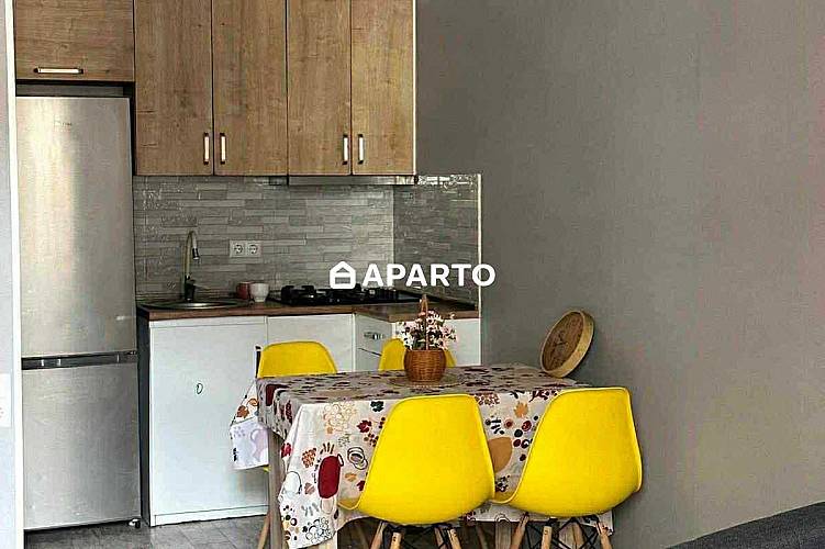 70 ლარი ღამე, ბინა დღიურად