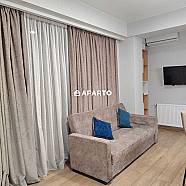 50 ლარი ღამე, ბინა დღიურად