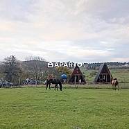 200 ლარი ღამე, ბინა დღიურად