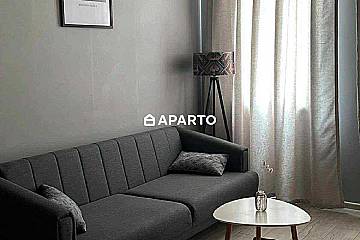 20 ლარი ღამე, ბინა დღიურად