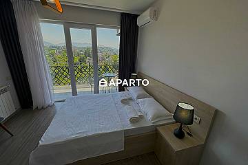 49 ლარი ღამე, ბინა დღიურად