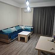 60 ლარი ღამე, ბინა დღიურად