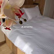 80 ლარი ღამე, ბინა დღიურად