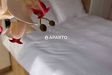 80 ლარი ღამე, ბინა დღიურად