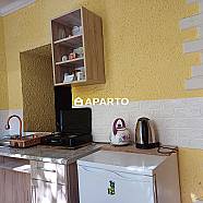 30 ლარი ღამე, ბინა დღიურად