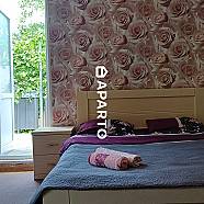 30 ლარი ღამე, ბინა დღიურად