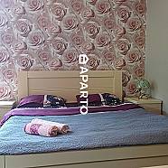 30 ლარი ღამე, ბინა დღიურად