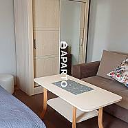 30 ლარი ღამე, ბინა დღიურად