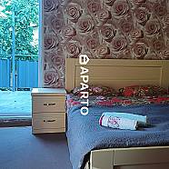 30 ლარი ღამე, ბინა დღიურად