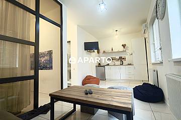 30 ლარი ღამე, ბინა დღიურად