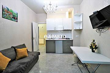 90 ლარი ღამე, ბინა დღიურად