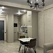 100 ლარი ღამე, ბინა დღიურად