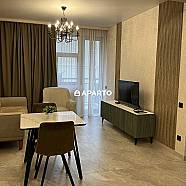 100 ლარი ღამე, ბინა დღიურად