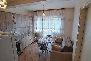 120 ლარი ღამე, ბინა დღიურად