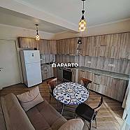 120 ლარი ღამე, ბინა დღიურად