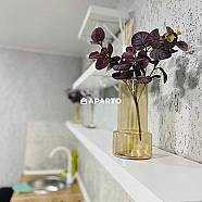 80 ლარი ღამე, ბინა დღიურად