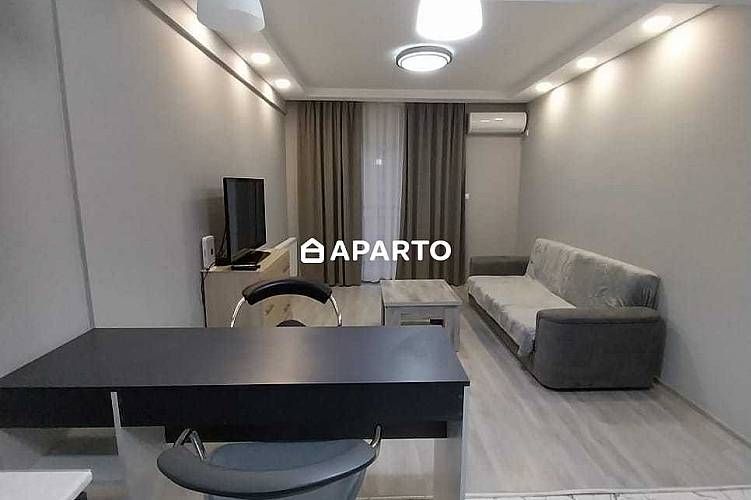 50 ლარი ღამე, ბინა დღიურად