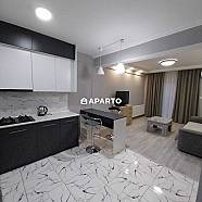 50 ლარი ღამე, ბინა დღიურად