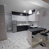 50 ლარი ღამე, ბინა დღიურად