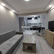 50 ლარი ღამე, ბინა დღიურად