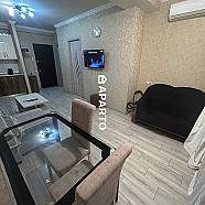 90 ლარი ღამე, ბინა დღიურად