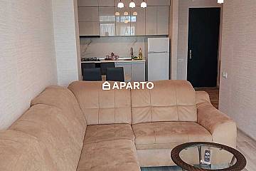 50 ლარი ღამე, ბინა დღიურად