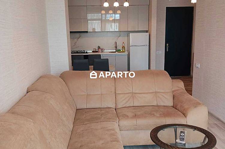 50 ლარი ღამე, ბინა დღიურად