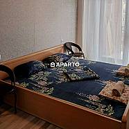 50 ლარი ღამე, ბინა დღიურად