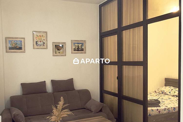 30 ლარი ღამე, ბინა დღიურად