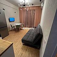 90 ლარი ღამე, ბინა დღიურად