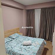 50 ლარი ღამე, ბინა დღიურად