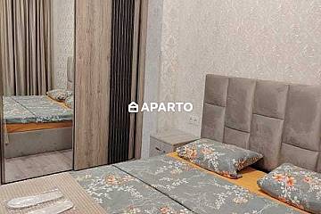 50 ლარი ღამე, ბინა დღიურად