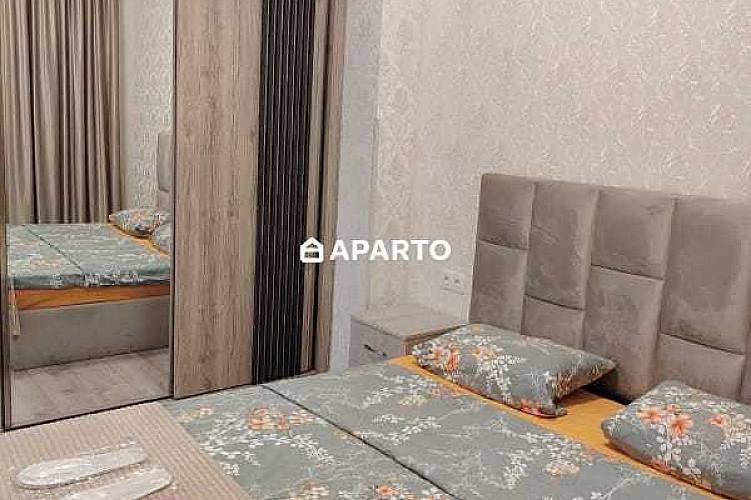 50 ლარი ღამე, ბინა დღიურად