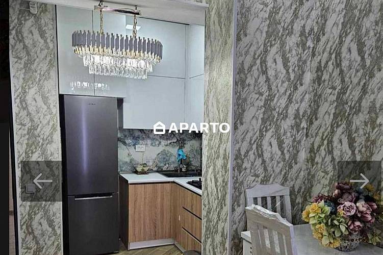 50 ლარი ღამე, ბინა დღიურად