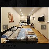 60 ლარი ღამე, ბინა დღიურად