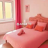 50 ლარი ღამე, ბინა დღიურად