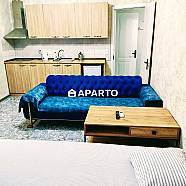 50 ლარი ღამე, ბინა დღიურად