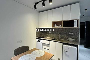 100 ლარი ღამე, ბინა დღიურად