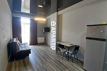 90 ლარი ღამე, ბინა დღიურად