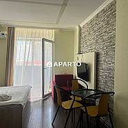 55 ლარი ღამე, ბინა დღიურად