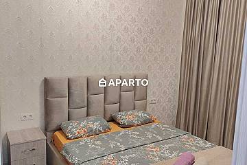 80 ლარი ღამე, ბინა დღიურად