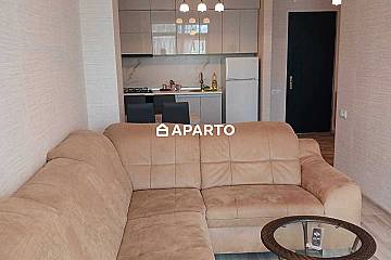 50 ლარი ღამე, ბინა დღიურად