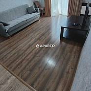 50 ლარი ღამე, ბინა დღიურად