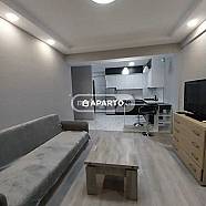 100 ლარი ღამე, ბინა დღიურად
