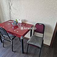 80 ლარი ღამე, ბინა დღიურად