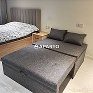 120 ლარი ღამე, ბინა დღიურად