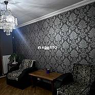 50 ლარი ღამე, ბინა დღიურად