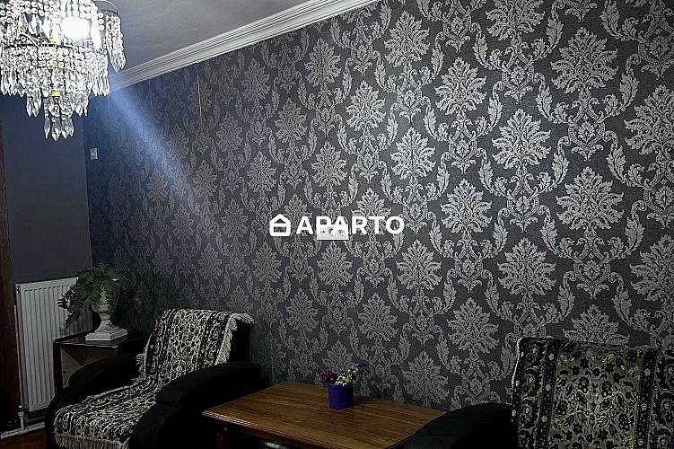 50 ლარი ღამე, ბინა დღიურად