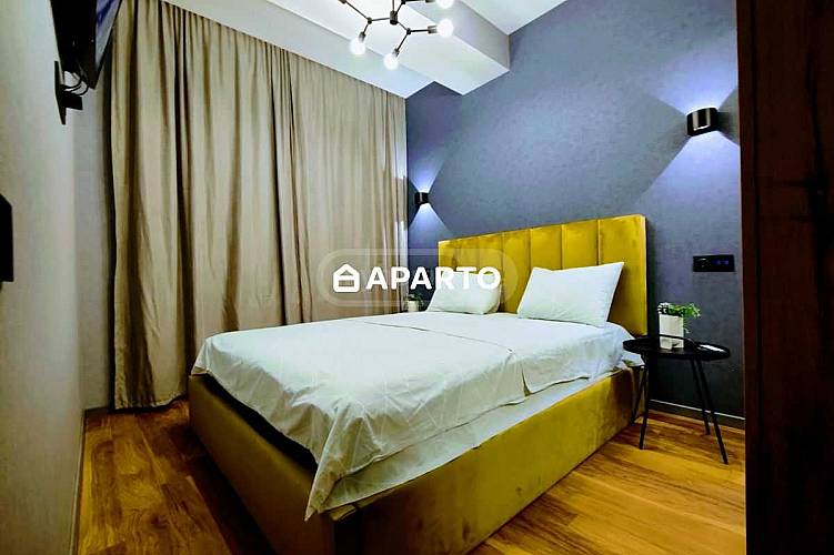 100 ლარი ღამე, ბინა დღიურად