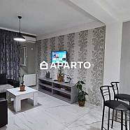 60 ლარი ღამე, ბინა დღიურად